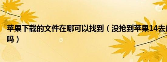 苹果下载的文件在哪可以找到（没抢到苹果14去店里买可以吗）