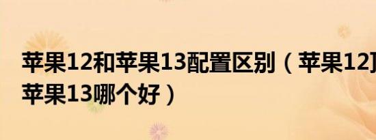 苹果12和苹果13配置区别（苹果12顶配版跟苹果13哪个好）