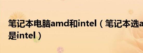 笔记本电脑amd和intel（笔记本选amd好还是intel）