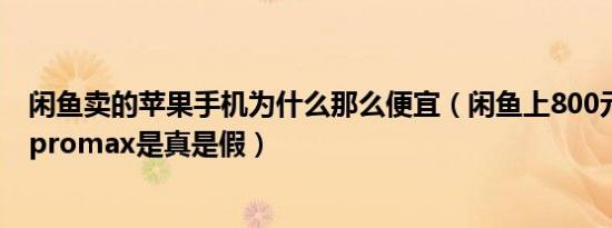 闲鱼卖的苹果手机为什么那么便宜（闲鱼上800元的苹果12promax是真是假）