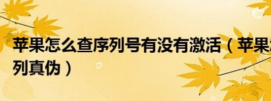 苹果怎么查序列号有没有激活（苹果怎么查序列真伪）