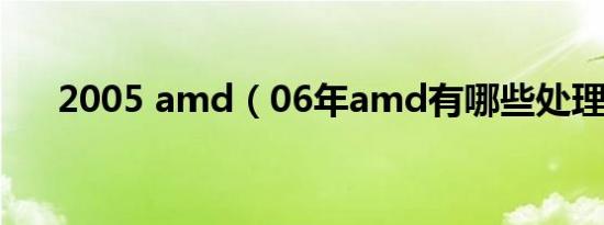 2005 amd（06年amd有哪些处理器）