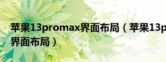 苹果13promax界面布局（苹果13pro max界面布局）