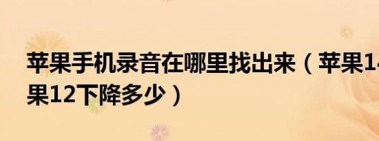 苹果手机录音在哪里找出来（苹果14出来苹果12下降多少）