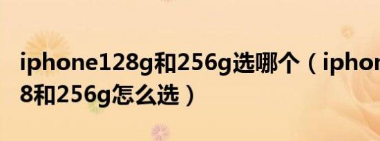 iphone128g和256g选哪个（iphone 14 128和256g怎么选）