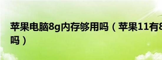 苹果电脑8g内存够用吗（苹果11有8g 128g吗）