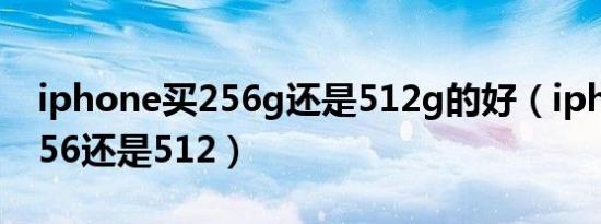 iphone买256g还是512g的好（iphone选256还是512）