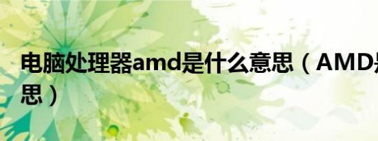 电脑处理器amd是什么意思（AMD是什么意思）