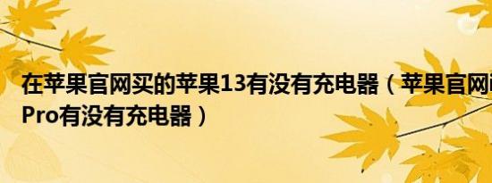 在苹果官网买的苹果13有没有充电器（苹果官网iPhone 13Pro有没有充电器）