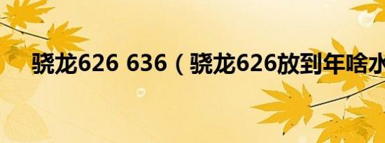 骁龙626 636（骁龙626放到年啥水平）