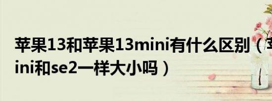 苹果13和苹果13mini有什么区别（苹果13mini和se2一样大小吗）