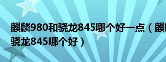 麒麟980和骁龙845哪个好一点（麒麟980和骁龙845哪个好）