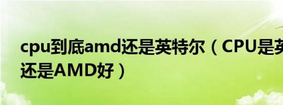 cpu到底amd还是英特尔（CPU是英特尔好还是AMD好）