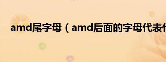 amd尾字母（amd后面的字母代表什么）