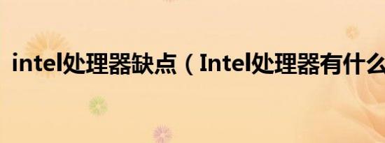 intel处理器缺点（Intel处理器有什么特点）