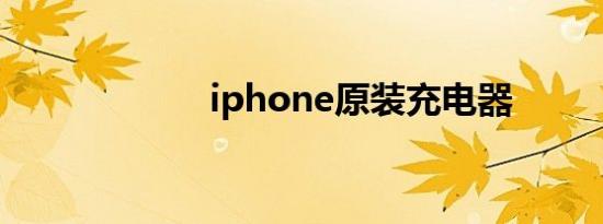 iphone原装充电器