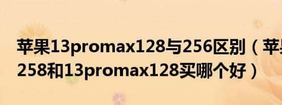 苹果13promax128与256区别（苹果13pro258和13promax128买哪个好）