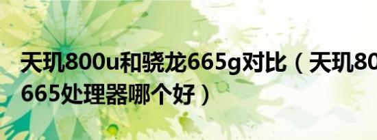 天玑800u和骁龙665g对比（天玑800和骁龙665处理器哪个好）