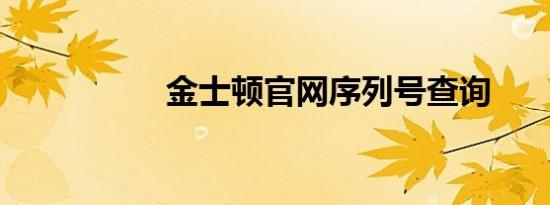 金士顿官网序列号查询