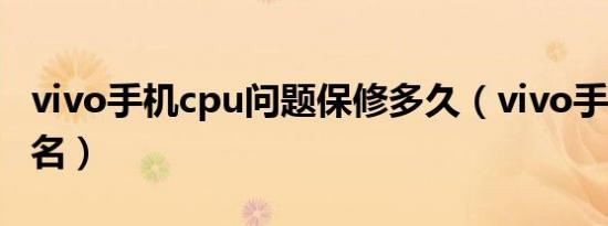 vivo手机cpu问题保修多久（vivo手机cpu排名）