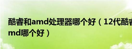 酷睿和amd处理器哪个好（12代酷睿和6代amd哪个好）