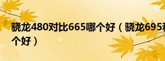 骁龙480对比665哪个好（骁龙695和480哪个好）