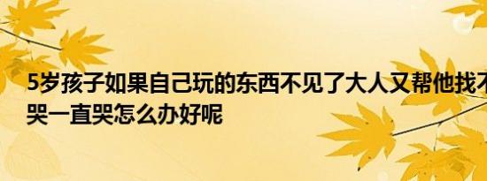 5岁孩子如果自己玩的东西不见了大人又帮他找不到就一直哭一直哭怎么办好呢