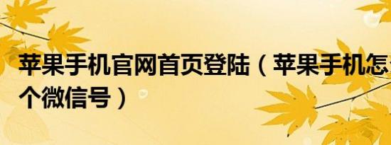 苹果手机官网首页登陆（苹果手机怎么登陆两个微信号）