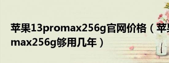 苹果13promax256g官网价格（苹果13promax256g够用几年）