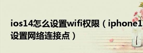 ios14怎么设置wifi权限（iphone14 3怎么设置网络连接点）