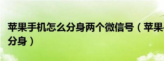 苹果手机怎么分身两个微信号（苹果手机怎么分身）