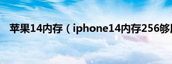 苹果14内存（iphone14内存256够用吗）