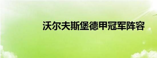 沃尔夫斯堡德甲冠军阵容