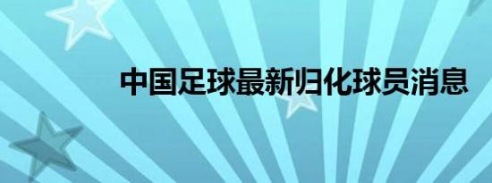 中国足球最新归化球员消息