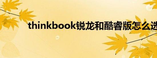 thinkbook锐龙和酷睿版怎么选