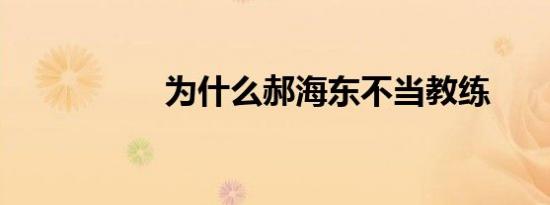 为什么郝海东不当教练