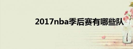 2017nba季后赛有哪些队