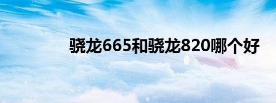 骁龙665和骁龙820哪个好