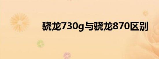 骁龙730g与骁龙870区别