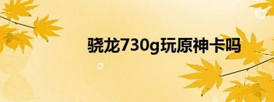 骁龙730g玩原神卡吗