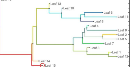 数学家模拟生物多样性的起源和进化