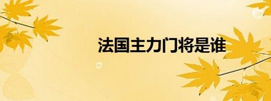 法国主力门将是谁