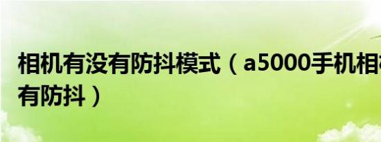 相机有没有防抖模式（a5000手机相机怎么没有防抖）