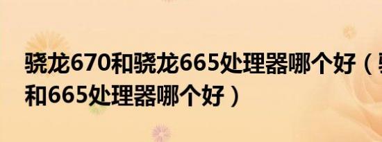 骁龙670和骁龙665处理器哪个好（骁龙670和665处理器哪个好）