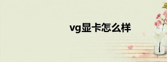 vg显卡怎么样