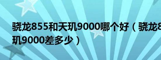 骁龙855和天玑9000哪个好（骁龙855和天玑9000差多少）