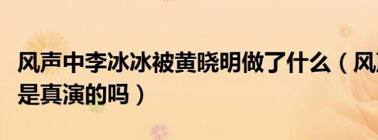 风声中李冰冰被黄晓明做了什么（风声李冰冰是真演的吗）