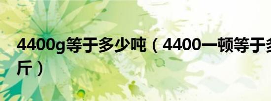 4400g等于多少吨（4400一顿等于多少一公斤）