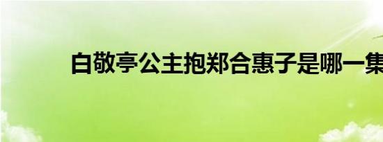 白敬亭公主抱郑合惠子是哪一集