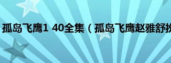 孤岛飞鹰1 40全集（孤岛飞鹰赵雅舒扮演者）